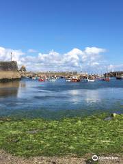 Mevagissey to Fowey Ferry