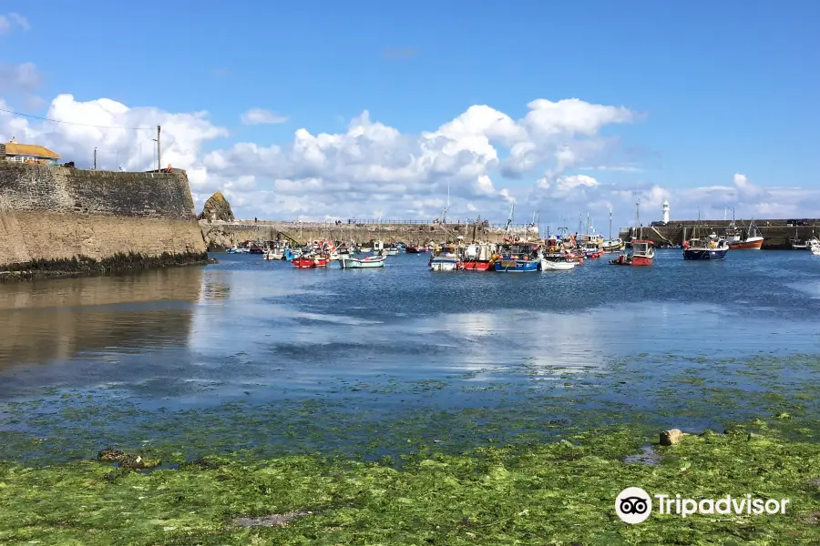 Mevagissey to Fowey Ferry