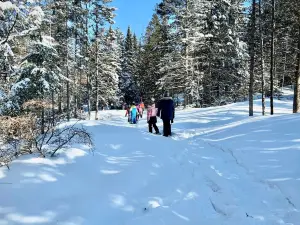 Aventuria | Parc thématique et tyroliennes