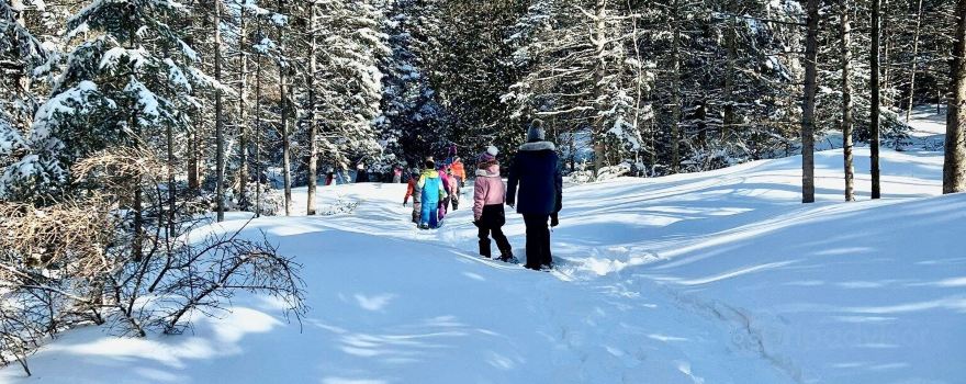 Aventuria | Parc thématique et tyroliennes