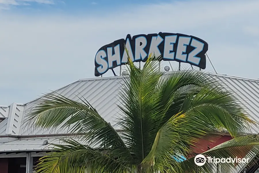 Sharkeez Tiki Bar