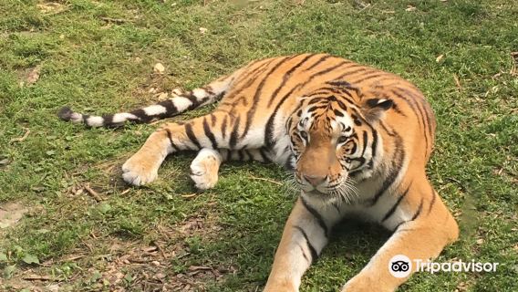 Zoo Zamosć