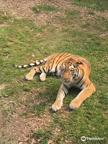 Zoo Zamosć