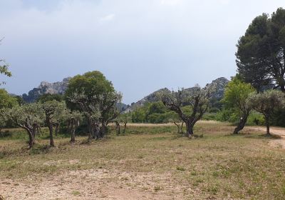 Saint-Remy-de-Provence