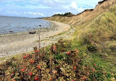 Ertebolle Strand