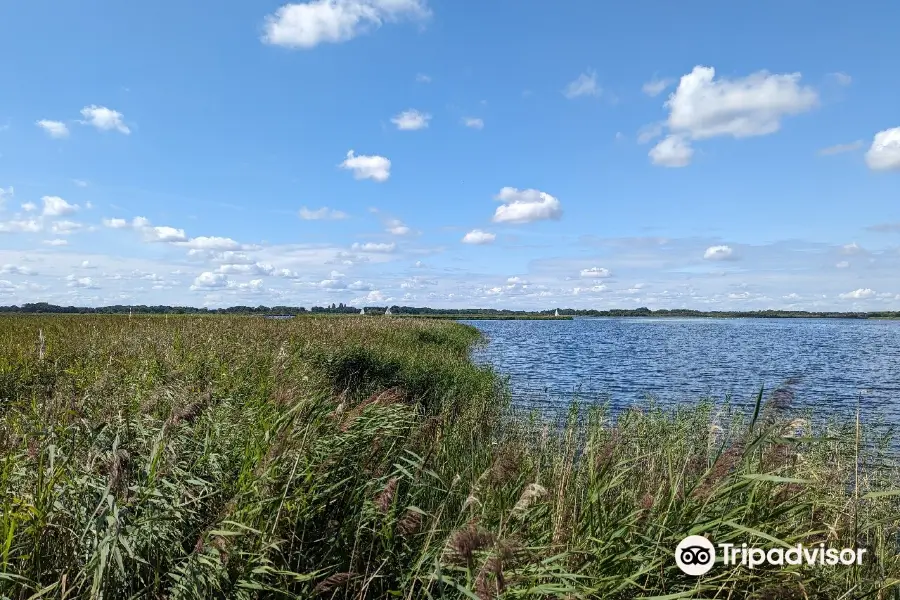 Hickling Broad