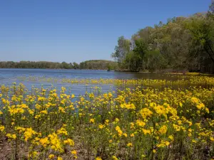 Woodlands Nature Station