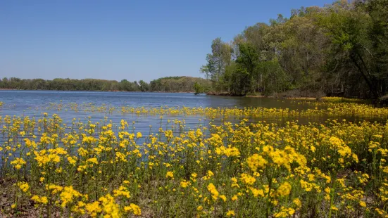 Woodlands Nature Station