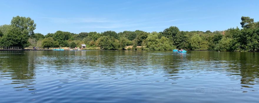 Earlswood Common