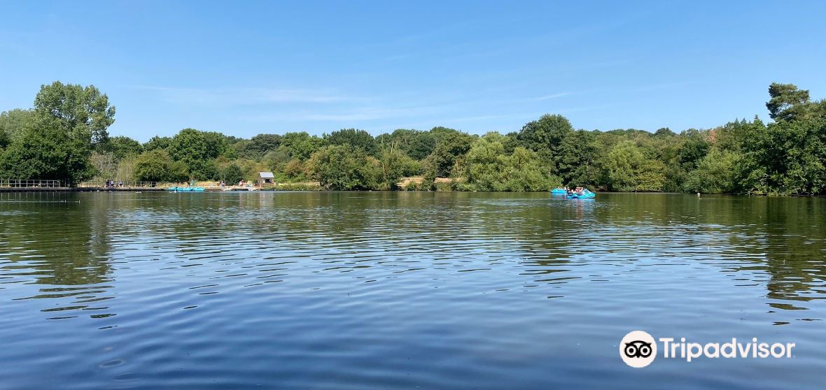 Reigate Travel Guide 2024 Things to Do, What To Eat & Tips