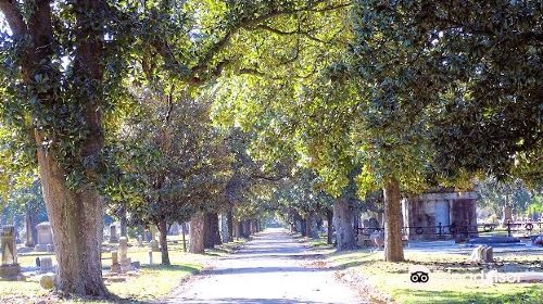 Magnolia Cemetery