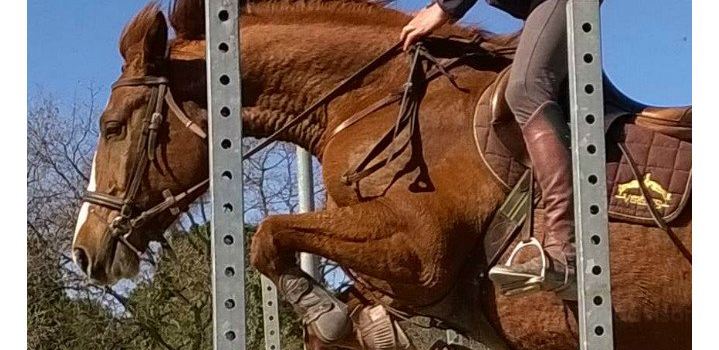 Equestrian Center Pleine Nature