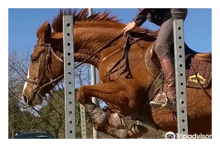 Equestrian Center Pleine Nature