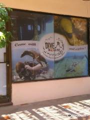 Dive in la Paz