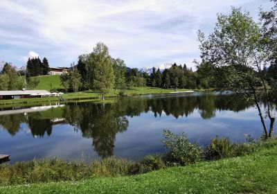 Badesee Moorbad Lauchsee