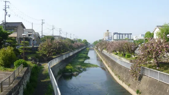 Sotobori River