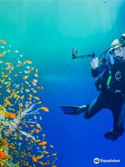 Undersea Adventures diving center