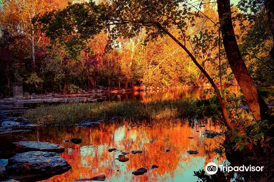 Stones River Greenway