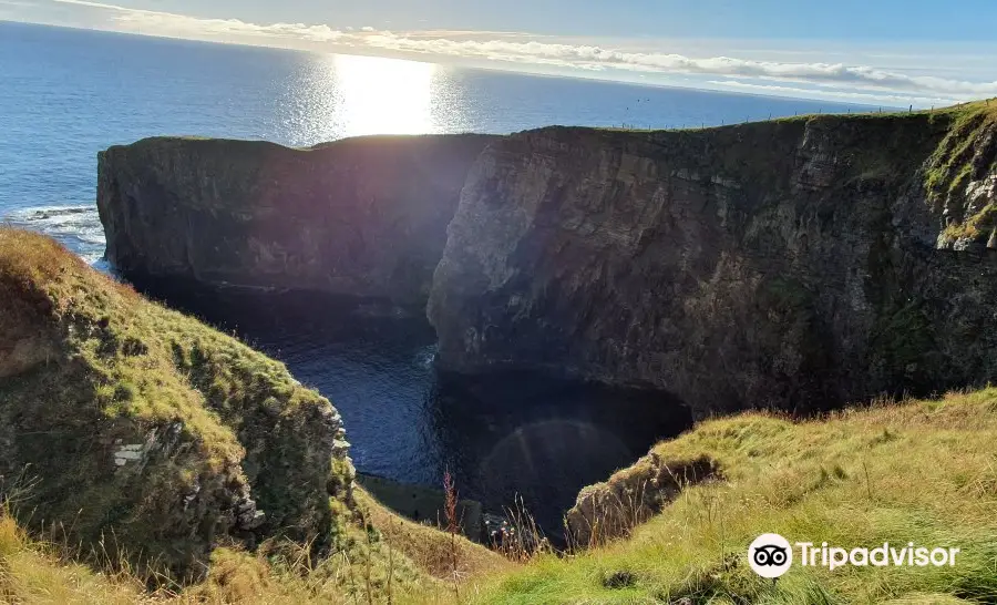 Whaligoe Steps