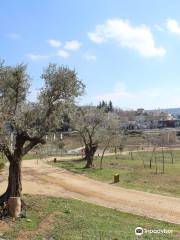 Valle de las Gacelas