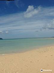 Bharatpur Beach, Neil Island