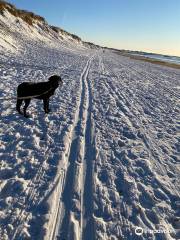 Borestranden Beach