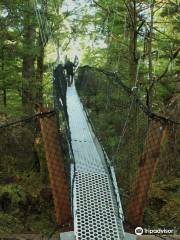 Metlakatla Wilderness Trail