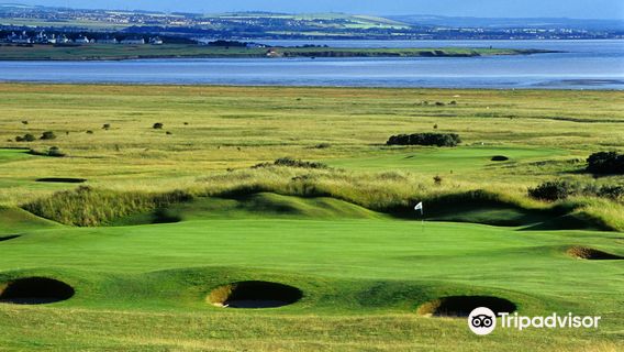 Gullane Golf Club