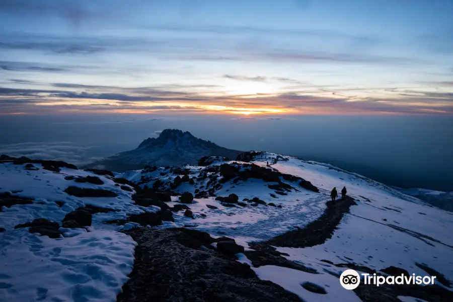 Kilimanjaro Brothers