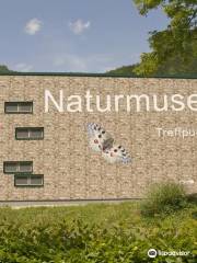 Naturmuseum Salzkammergut - Treffpunkt Natur