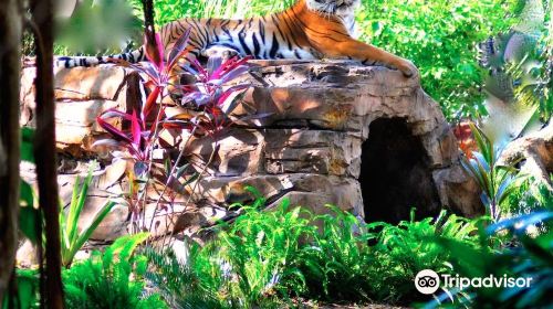 Palm Beach Zoo