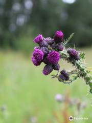 Swift Valley Country Park