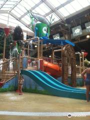 Soaring Eagle Waterpark and Hotel