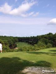 Golf de la Mejanne