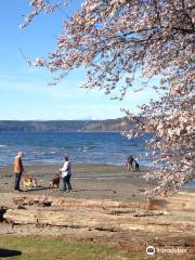 Dash Point State Park