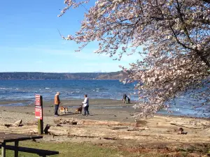 Dash Point State Park