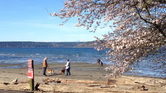 Dash Point State Park