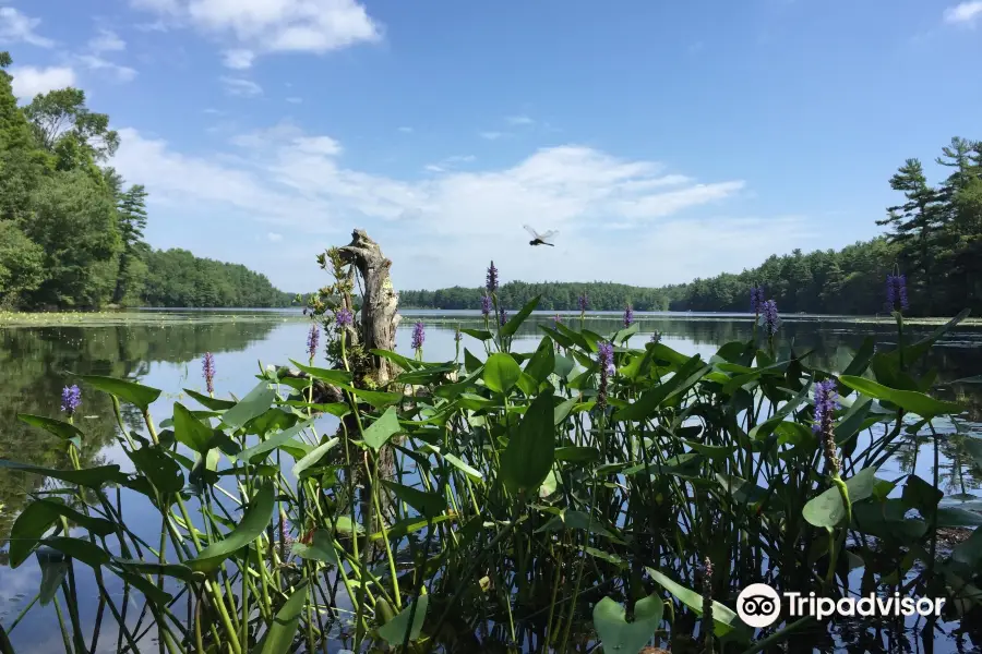 ホワイトホール州立公園