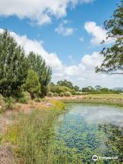 Peacehaven Botanic Park