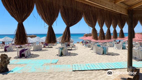 Dharma Beach Club