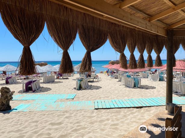 Dharma Beach Club
