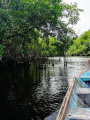 Ciénaga la Caimanera