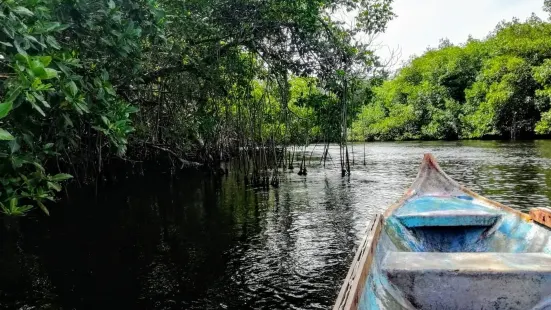 Ciénaga la Caimanera