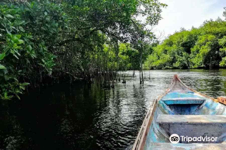 Ciénaga la Caimanera