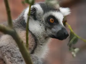 Zoo Park Vyškov