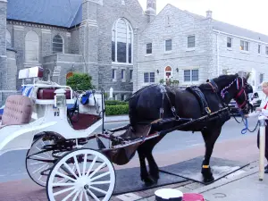Cape May Carriage LLC