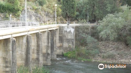 Paraje Natural Cola del Embalse de Arcos