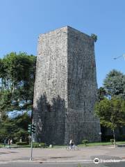 Torre Gattoni
