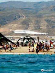 Awa Watersports Almería