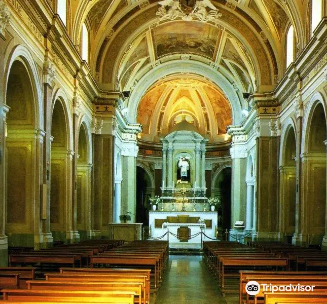 Papal Basilica Minor St. Anthony of Padua